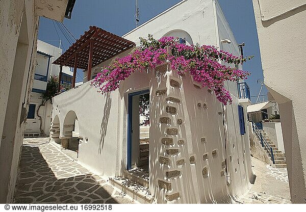 Traditionelle weiß getünchte Häuser mit bunten Türen und Fenstern in Parikia  dem Hafenort  Insel Paros  Kykladen  Griechische Inseln  Griechenland  Europa.