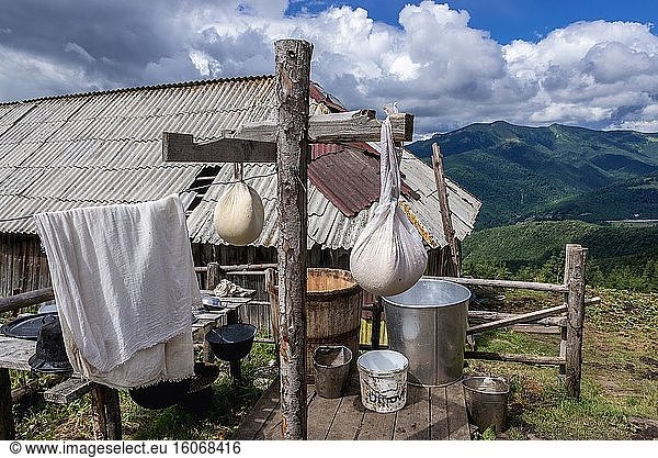 Traditioneller weißer Frischkäse  der in einer kleinen Hütte auf einem Berg im Ferienort Borsa im Rodna-Gebirge im Kreis Maramures in Nordrumänien hergestellt wird.