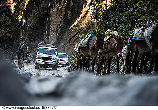 Traffic Jam on Nepal Mountain Road