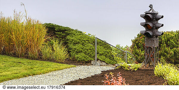 Traffic light in a garden  flower border with shrubs and path.