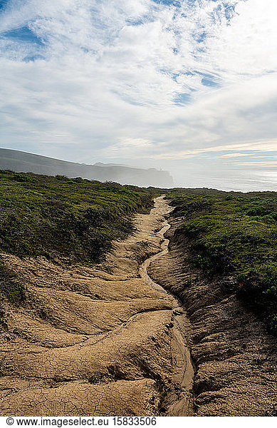 Trail leading out to coastal headlands under blue skies with clouds