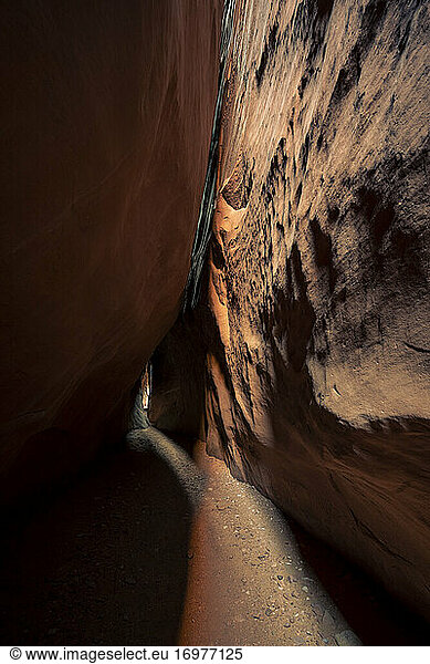 Trail leading through slot canyon walls  Leprechaun Canyon  Utah  USA