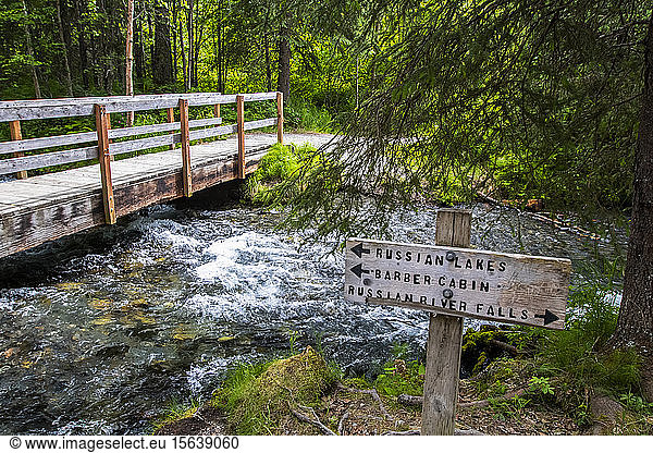 Trail marker on the trail to the Russian River Falls on the Kenai Peninsula  South-central Alaska; Alaska  United States of America