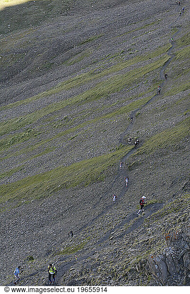 Trail runners