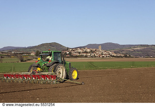Traktor auf einem Feld  Zuckerrübenanbau  Dorf Montpeyroux  Limagne Ebene  DÈpartement Puy-de-DÙme  Frankreich  Europa
