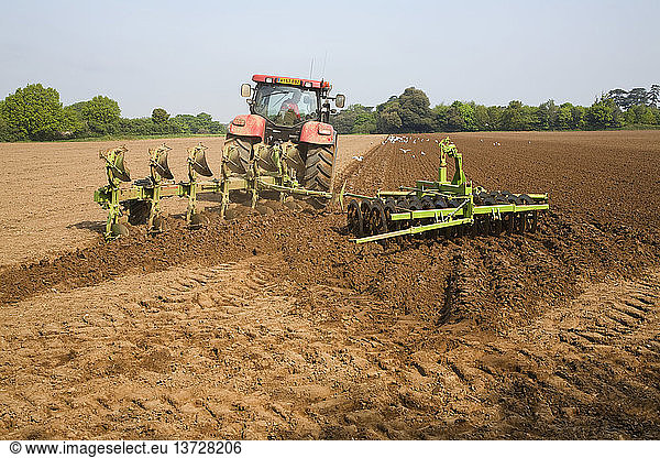 Traktor beim Eggen des Bodens auf einem Feld als Vorbereitung für die Bepflanzung  Shottisham  Suffolk  England