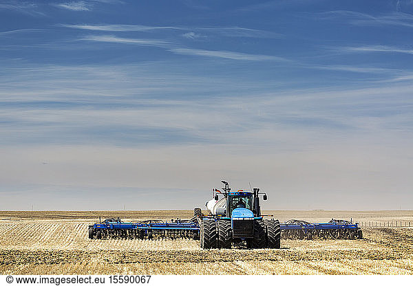 Traktor mit Einzelkornsämaschine  Aussaat eines Stoppelfeldes bei blauem Himmel und dunstigen Wolken  in der Nähe von Beiseker; Alberta  Kanada