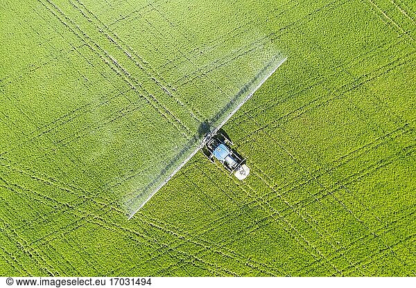 Traktor sprüht Fungizid auf die Reisfelder (Oryza sativa)  im Juli  Luftbild  Drohnenaufnahme  Naturschutzgebiet Ebro-Delta  Provinz Tarragona  Katalonien  Spanien  Europa