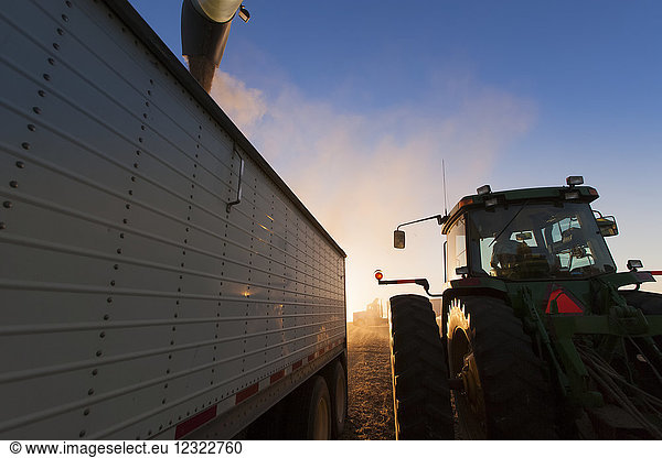 Traktor und Getreidewagen beim Entladen von Sojabohnen in einen Lastwagen bei der Ernte  in der Nähe von Nerstrand; Minnesota  Vereinigte Staaten von Amerika
