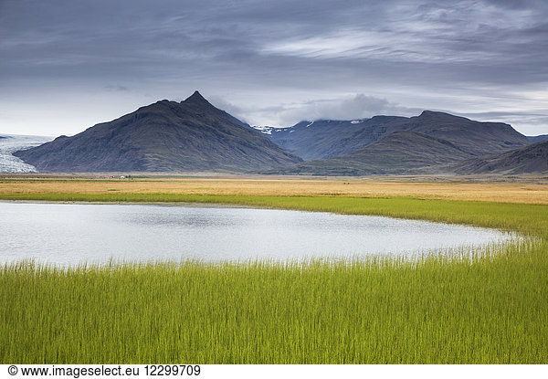 Tranquil  remote mountain landscape with fresh  green grass  Iceland
