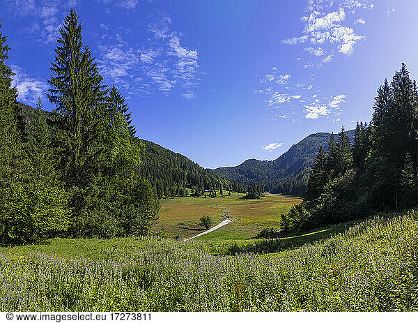 Tranquil scene of landscape against clear blue sky  Salzkammergut  Austria