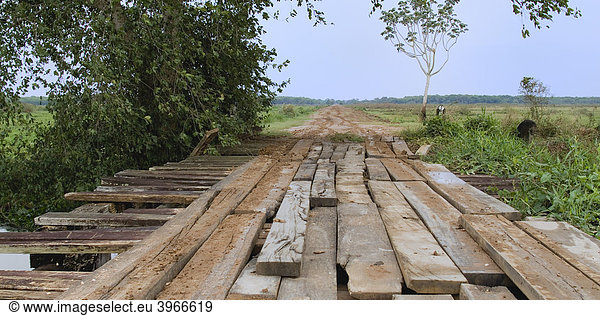 Transpantaneira  Holzbrücke  Pantanal  UNESCO Welterbe und Biosphärenreservat  Mato Grosso  Brasilien