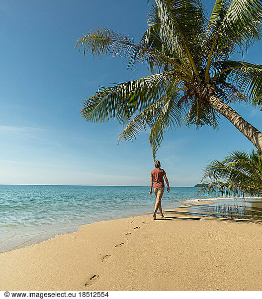 Traveler woman walking on beach under palm tree