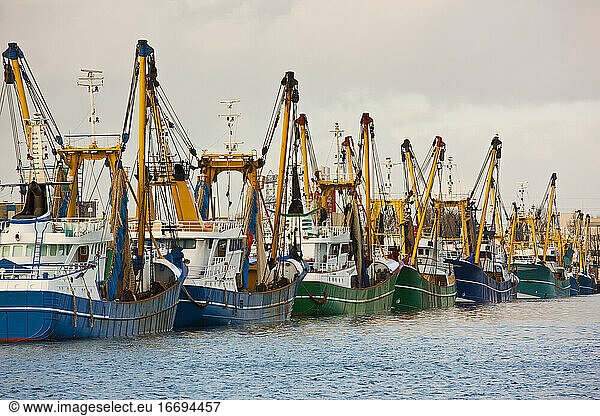 Trawler fleet docked at pier in Middelburg / Netherlands