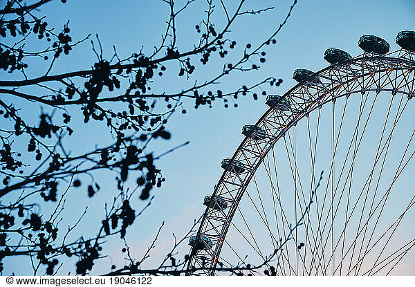 Tree branches against Ferris wheel