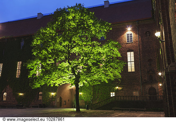 Tree in front of townhouse at dusk  Stockholm  Sweden