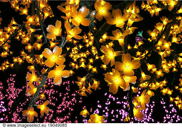 Tree lights in Greenbelt Park in Makati City.