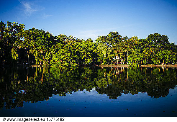 Trees and blue sky reflected on a lake.