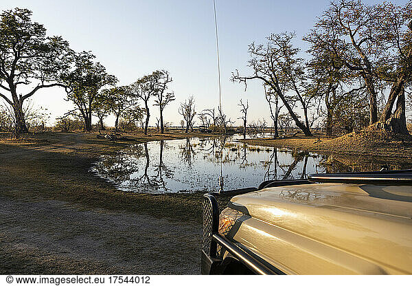 trees  reflection Okavango Delta  Botswana