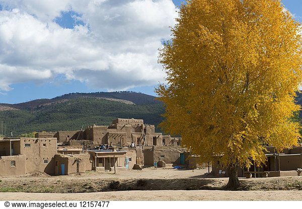 Trees with fall colors at the Taos Pueblo which is the only living Native American community designated both a World Heritage Site by UNESCO and a National Historic Landmark in Taos  New Mexico  USA.