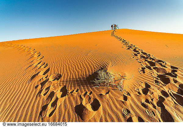 Trekking auf der Düne von Namibia