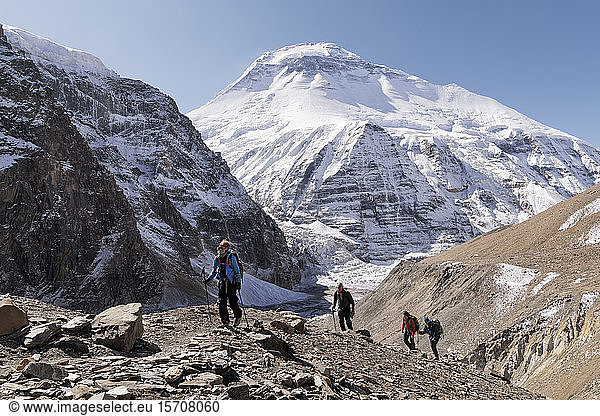 Trekking group at Chonbarden Glacier  Dhaulagiri 1  Dhaulagiri Circuit Trek  Himalaya  Nepal