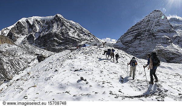 Trekking group at Chonbarden Glacier  Tukuche Peak  Dhaulagiri Circuit Trek  Himalaya  Nepal