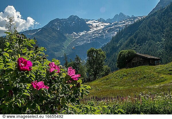 Trelechamp in Chamonix in Haute Savoie  Frankreich.