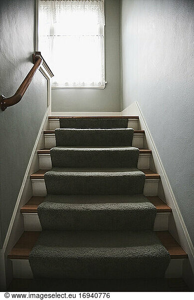 Treppe mit Teppich und Handlauf.