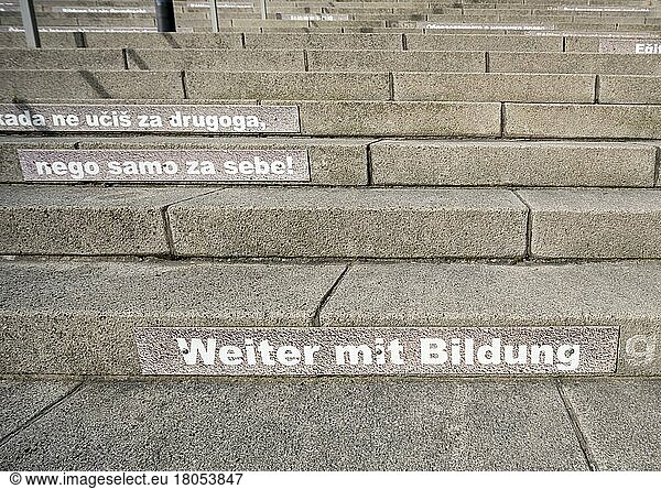 Treppenstufen mit Slogans zum Thema Bildung in mehreren Sprachen Treppe