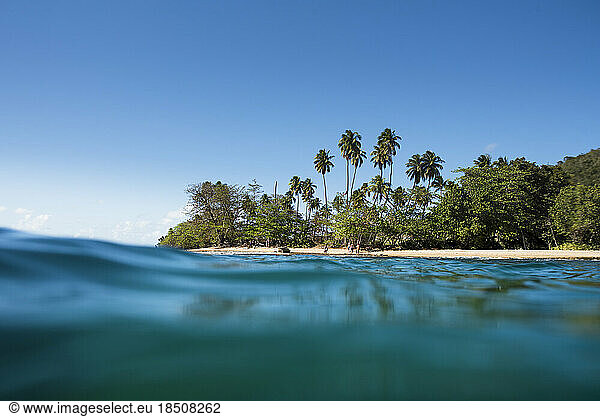 Tres Palmas Marine Reserve in Rincon  Puerto Rico