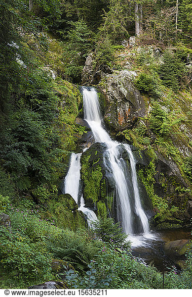 Triberg waterfalls  Triberg  Germany