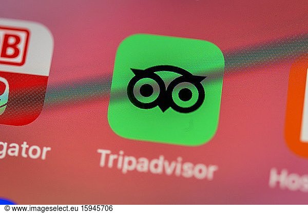 Tripadvisor app  icon  logo  display  iPhone  mobile phone  smartphone  iOS  macro shot  detail  full format