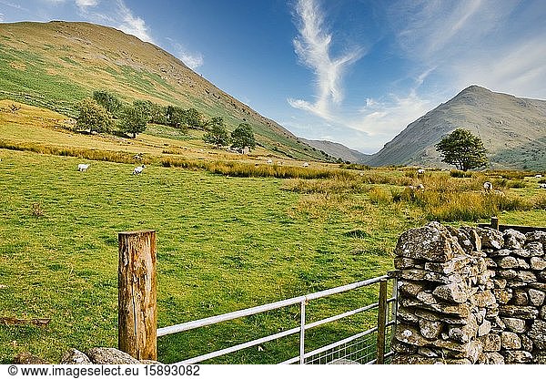 Trockensteinmauer  Schafe und Hügel  Kirkstone Pass  Lake District National Park  Cumbria  England. Der Nationalpark ist ein UNESCO-Weltkulturerbe