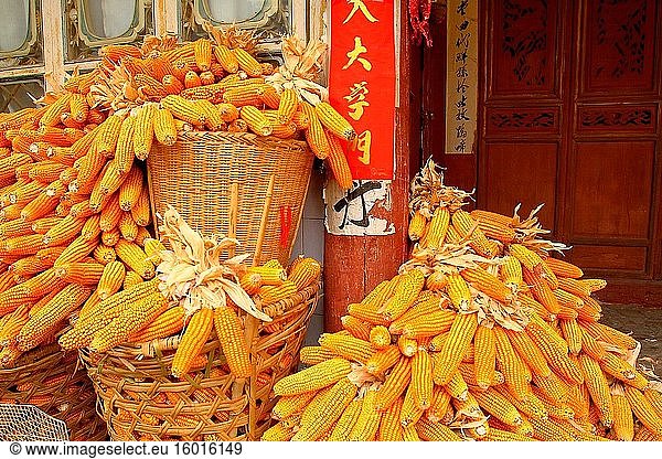 Trocknung von Maiskolben  china  asien