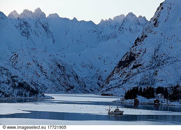 Trollfjord  fishing boat  rock face  winter  Norway  Europe