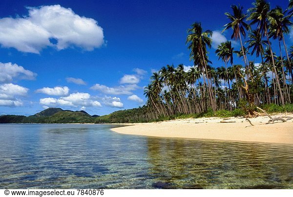 tropical beach with palmtrees at Busuanga island  Philipines
