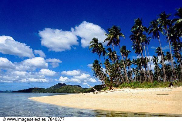 tropical beach with palmtrees at Busuanga island  Philipines