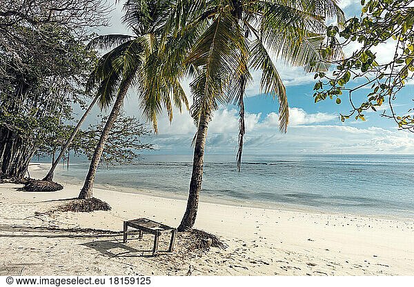 Tropical landscape  Thaa Atoll  Maldives