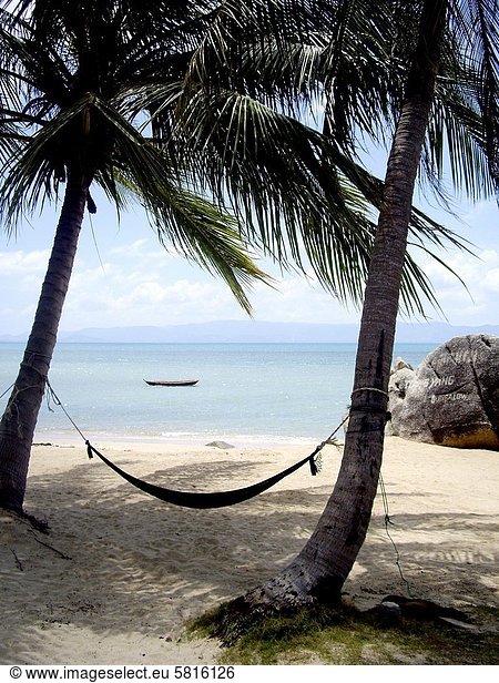 Tropical white sand beach with hammock tied to two palmtrees near Ban Tai  Koh Phangan  Thailand