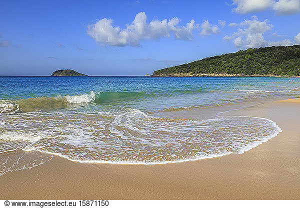 Tropischer Strand Anse de la Perle  goldener Sand  türkisblaues Meer  Death In Paradise Location  Deshaies  Guadeloupe  Leeward Islands  Westindien  Karibik  Mittelamerika