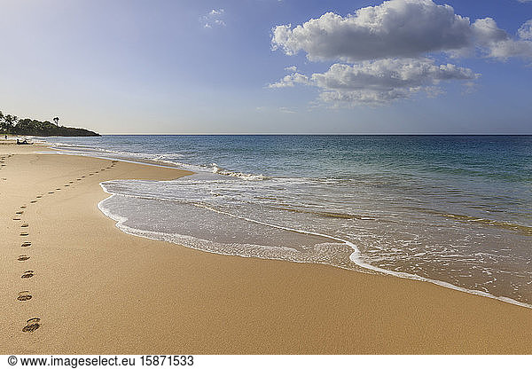 Tropischer Strand Anse de la Perle  Sonnenanbeter  goldener Sand  Fußabdrücke  Death In Paradise Location  Deshaies  Guadeloupe  Leeward Islands  Westindien  Karibik  Mittelamerika