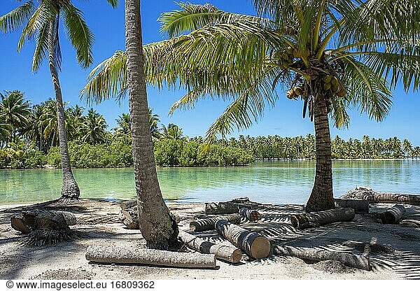 Tropisches Paradies Seelandschaft Taha'a Insel Landschaft  Französisch-Polynesien. Motu Mahana Palmen am Strand  Taha'a  Gesellschaftsinseln  Französisch-Polynesien  Südpazifik.
