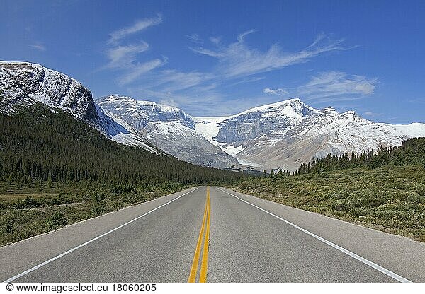 Trostloser Icefields Parkway  Highway 93  Jasper National Park  Alberta  Kanada  Nordamerika