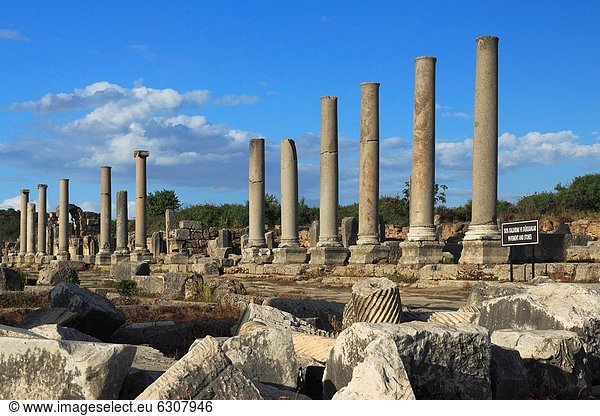 Truthuhn Antalya Perge Türkei