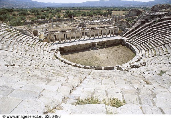 Truthuhn Ausgrabungsstätte Anatolien Aphrodisias Asien Türkei