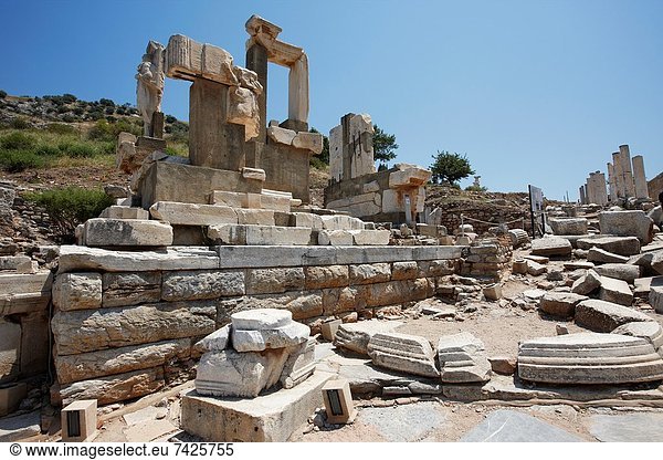 Truthuhn  Ausgrabungsstätte  Monument  Ephesos  Türkei