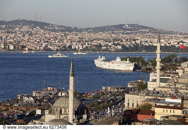 Truthuhn Europa Istanbul Türkei