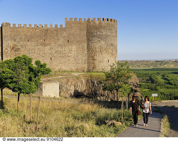 Truthuhn  Stadtmauer  Anatolien  Türkei