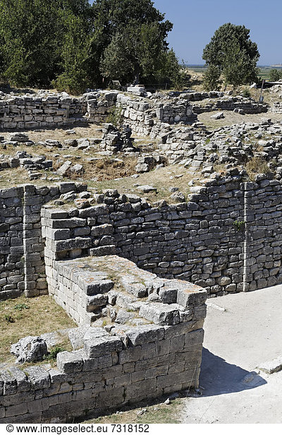 Truthuhn Stadtmauer Ruine UNESCO-Welterbe Asien Troja Türkei